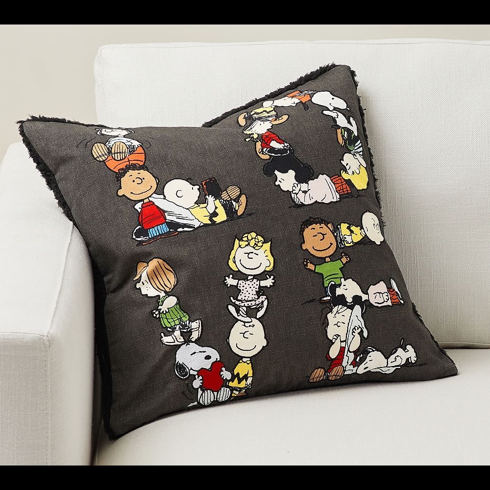 Pottery Barn Peanuts “LOVE” Happy Valentines Charlie Brown Pillow Cover …
